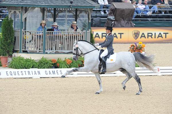 WEG1-9-28-10-DressageGP-5740-DDeRosaPhoto.jpg