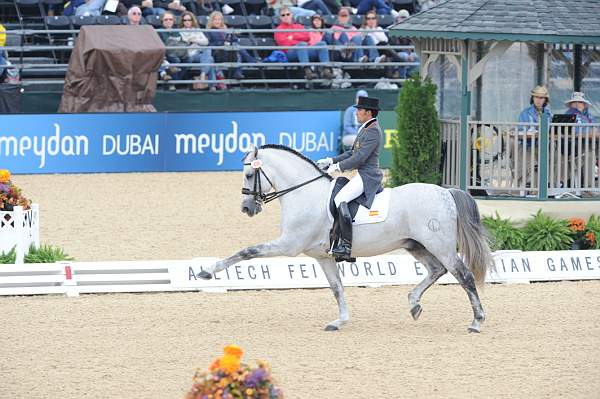 WEG1-9-28-10-DressageGP-5742-DDeRosaPhoto.jpg