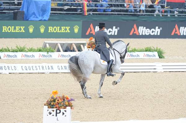 WEG1-9-28-10-DressageGP-5745-DDeRosaPhoto.jpg