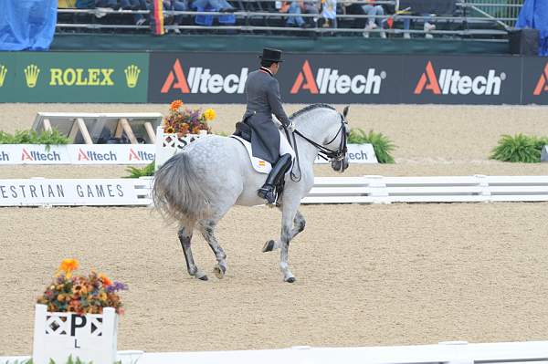 WEG1-9-28-10-DressageGP-5746-DDeRosaPhoto.jpg