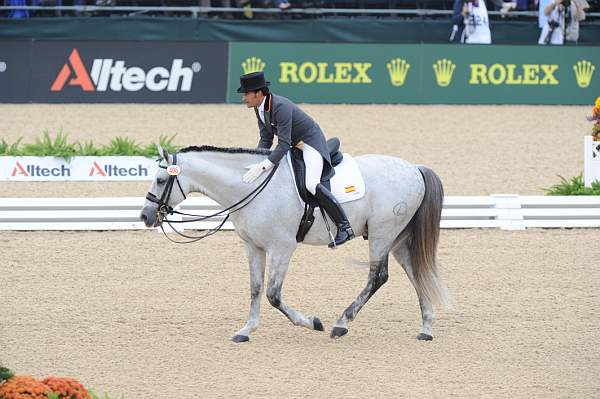 WEG1-9-28-10-DressageGP-5757-DDeRosaPhoto.jpg