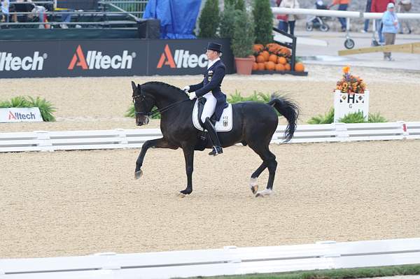 WEG1-9-28-10-DressageGP-5777-DDeRosaPhoto.jpg