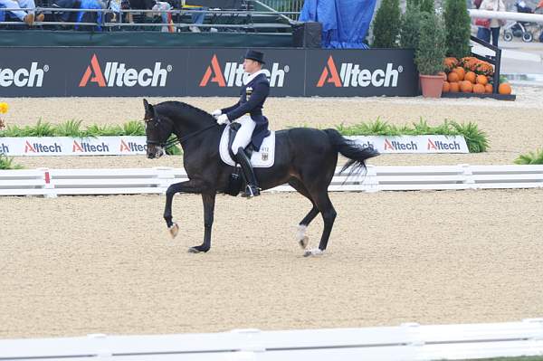 WEG1-9-28-10-DressageGP-5778-DDeRosaPhoto.jpg