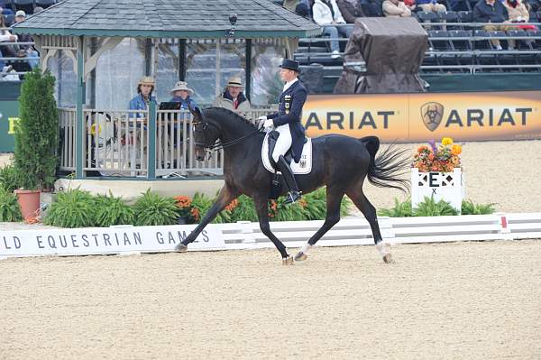 WEG1-9-28-10-DressageGP-5781-DDeRosaPhoto.jpg