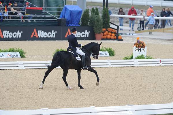 WEG1-9-28-10-DressageGP-5798-DDeRosaPhoto.jpg