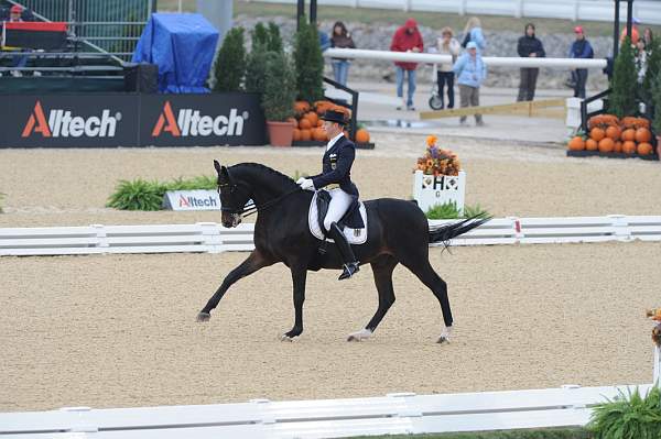 WEG1-9-28-10-DressageGP-5801-DDeRosaPhoto.jpg