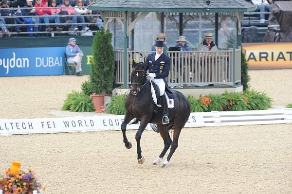 WEG1-9-28-10-DressageGP-5807-DDeRosaPhoto.jpg