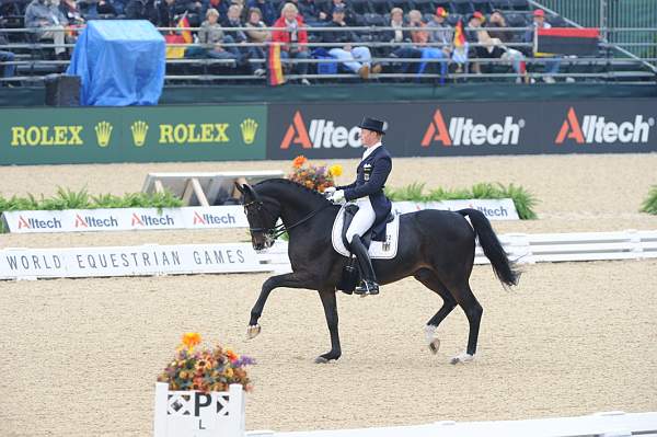 WEG1-9-28-10-DressageGP-5813-DDeRosaPhoto.jpg