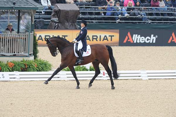 WEG1-9-28-10-DressageGP-5845-DDeRosaPhoto.jpg