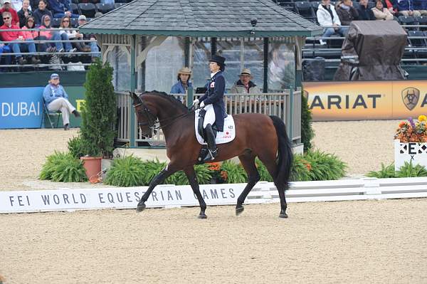 WEG1-9-28-10-DressageGP-5846-DDeRosaPhoto.jpg