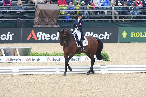 WEG1-9-28-10-DressageGP-5847-DDeRosaPhoto.jpg