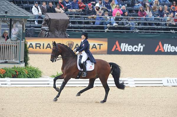 WEG1-9-28-10-DressageGP-5859-DDeRosaPhoto.jpg