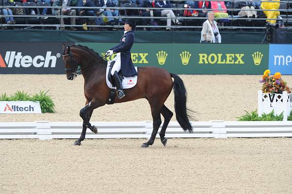 WEG1-9-28-10-DressageGP-5863-DDeRosaPhoto.jpg