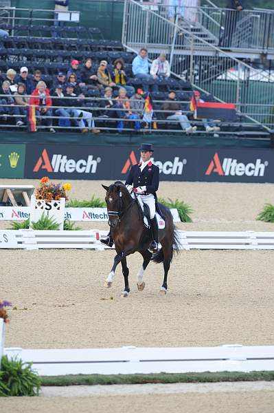 WEG1-9-28-10-DressageGP-5875-DDeRosaPhoto.jpg