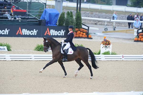 WEG1-9-28-10-DressageGP-5878-DDeRosaPhoto.jpg