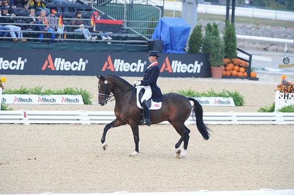 WEG1-9-28-10-DressageGP-5879-DDeRosaPhoto.jpg