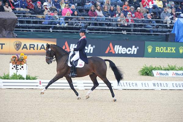 WEG1-9-28-10-DressageGP-5883-DDeRosaPhoto.jpg