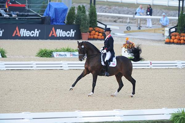 WEG1-9-28-10-DressageGP-5894-DDeRosaPhoto.jpg