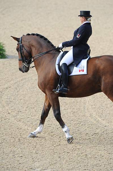 WEG1-9-28-10-DressageGP-5914-DDeRosaPhoto.jpg