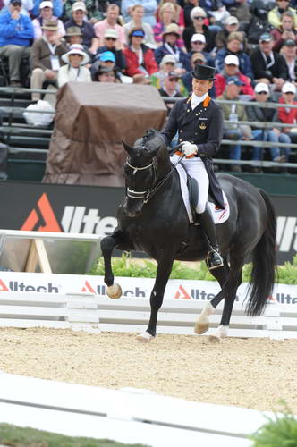 WEG1-9-28-10-DressageGP-6517-EdwardGal-MoorlandsTotilas-DDeRosaPhoto.jpg