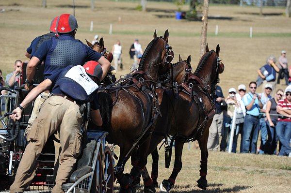 WEG4-10-9-10-DR-Marathon-0732-ChesterWeber-DDeRosaPhoto.jpg