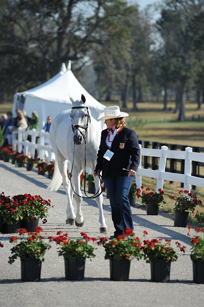 WEG1-9-29-10-EV_Jog-DSC_5443-CourageousComet-RebeccaHolder-DDeRosaPhoto.jpg