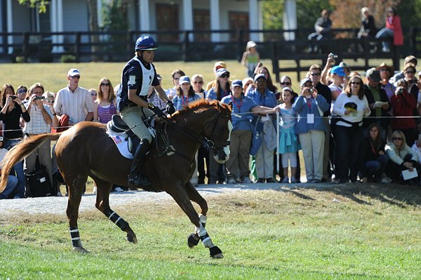 WEG2-10-2-10-EV-XX-3107-NevilleBardos-BoydMartin-DDeRosaPhoto.jpg