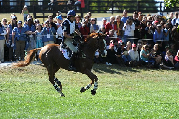 WEG2-10-2-10-EV-XX-3108-NevilleBardos-BoydMartin-DDeRosaPhoto.jpg