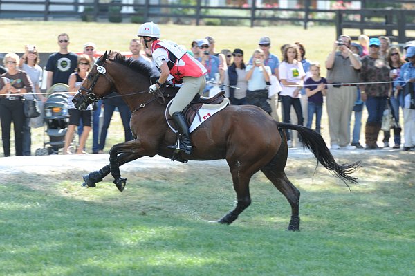 WEG2-10-2-10-EV-XX-5271-PortAuthority-StephanieRhodes-Bosch-DDeRosaPhoto.jpg