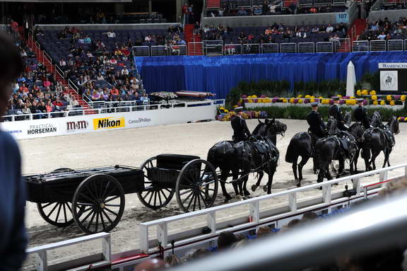 WIHS2-10-30-10-8525-DDeRosaPhoto.JPG