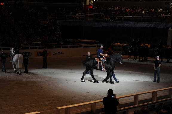 WIHS2-10-30-10-8551-DDeRosaPhoto.JPG