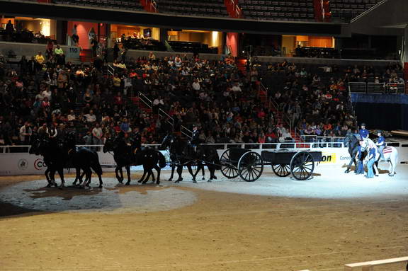 WIHS2-10-30-10-8579-DDeRosaPhoto.JPG