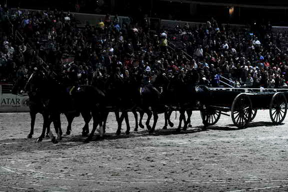 WIHS2-10-30-10-8587-DDeRosaPhoto.JPG