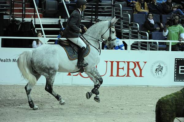 WIHS2-10-29-10-Puissance-6643-G-CBlanchee-PabloBarrios-DDeRosaPhoto.jpg