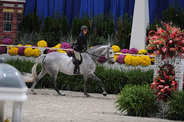 WIHS2-10-27-10-Cl24-1stYrGrHtrStke-0199-HonorMe-HavensSchatt-DDeRosaPhoto.jpg