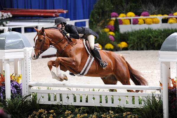 WIHS2-10-27-10-Cl24-1stYrGrHtrStke-0224-RedSky-MaggieJayne-DDeRosaPhoto.jpg