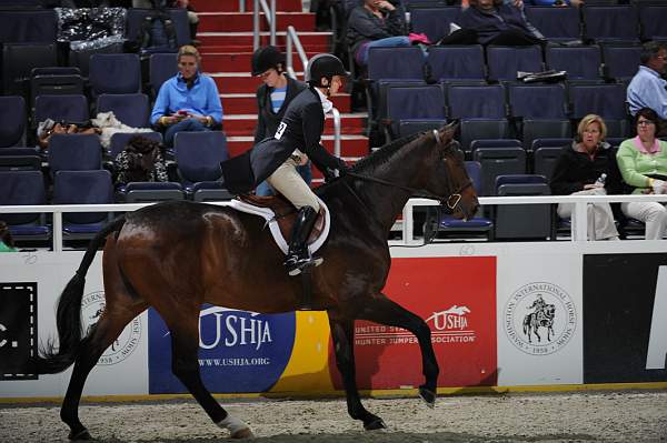 WIHS2-10-27-10-Cl24-1stYrGrHtrStke-0233-Zidane-MaryLisaLeffler-DDeRosaPhoto.jpg