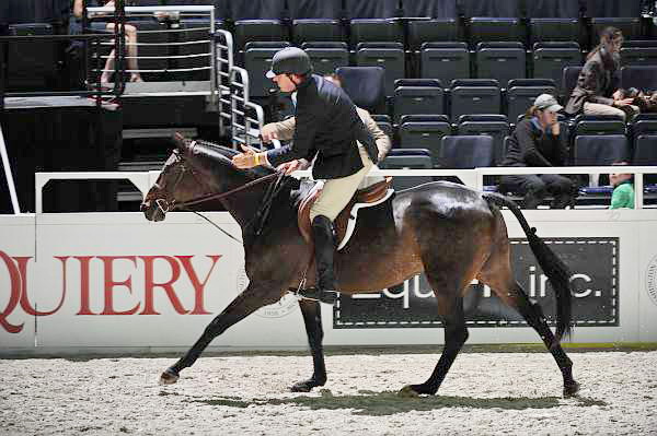 WIHS2-10-27-10-Cl24-1stYrGrHtrStke-0269-VictoryRoad-ArchieCox-DDeRosaPhoto.jpg