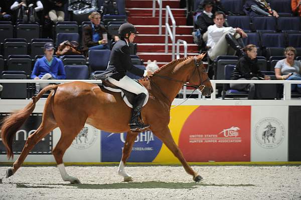 WIHS1-10-27-10-Cl34-2ndYrHtrStke-9955-Nickleback-HaroldChopping-DDeRosaPhoto.jpg