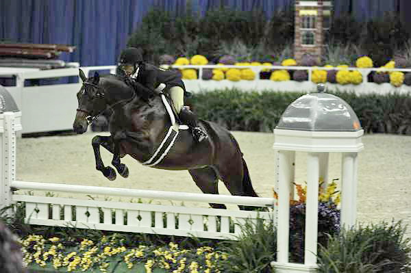 WIHS2-10-27-10-GrConfHtrStke-Cl5-0041-Surely-PegSeals-DDeRosaPhoto.jpg