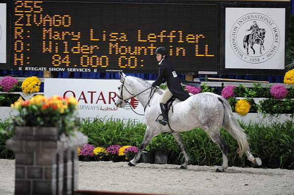 WIHS2-10-27-10-GrConfHtrStke-Cl5-0056-Zivago-MaryLisaLeffler-DDeRosaPhoto.jpg