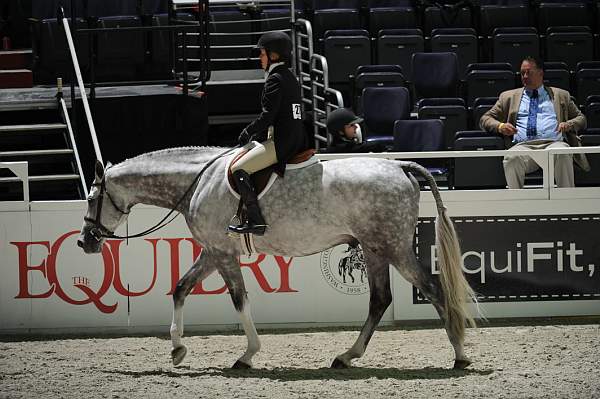 WIHS2-10-27-10-GrConfHtrStke-Cl5-0094-Listen-KelleyFarmer-DDeRosaPhoto.jpg