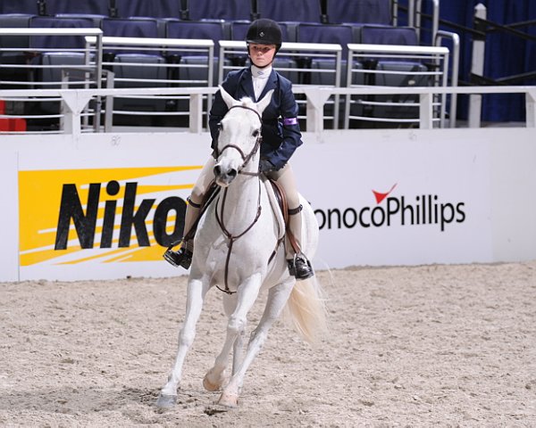 WIHS3-10-31-10-Cl123-LgPnyHtr-9913-HighCotton-AshleyToffolon-DDeRosaPhoto.jpg