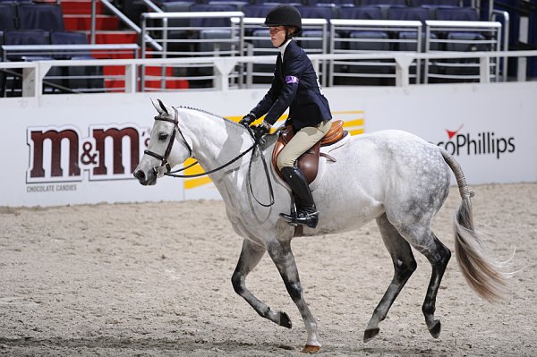 WIHS3-10-31-10-Cl123-LgPnyHtr-9927-CenterField-LouiseGraves-DDeRosaPhoto.jpg