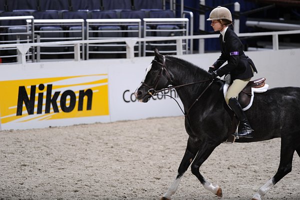 WIHS3-10-31-10-Cl123-LgPnyHtr-9932-OneMoreTime-AnnaRossi-DDeRosaPhoto.jpg