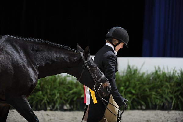 WIHS3-10-31-10-LgPnyHtrChamp-0149-FranklinsTower-Rachelman-DDeRosaPhoto.jpg