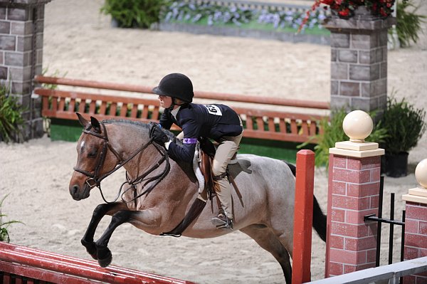 WIHS3-10-31-10-Cl113-MedPnyHtr-9491-PetuniaMae-KirklenPetersen-DDeRosaPhoto.jpg