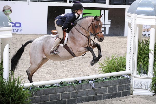 WIHS3-10-31-10-Cl113-MedPnyHtr-9492-PetuniaMae-KirklenPetersen-DDeRosaPhoto.jpg