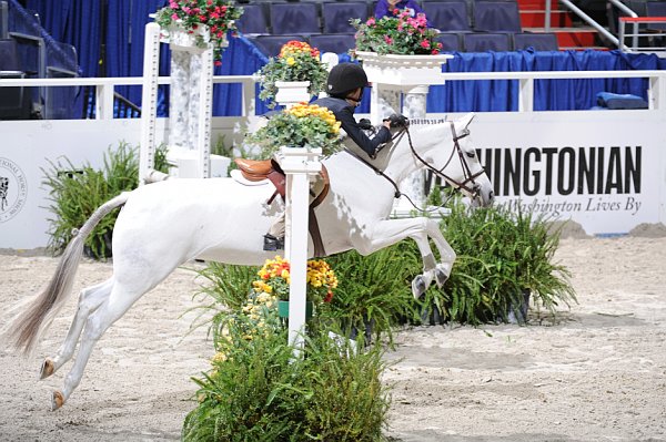 WIHS3-10-31-10-Cl113-MedPnyHtr-9511-MacyGrey-MeredithDarst-DDeRosaPhoto.jpg