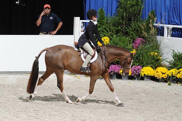 WIHS3-10-31-10-Cl114-MedPnyHtr-9701-Epic-AleeceJarman-DDeRosaPhoto.jpg